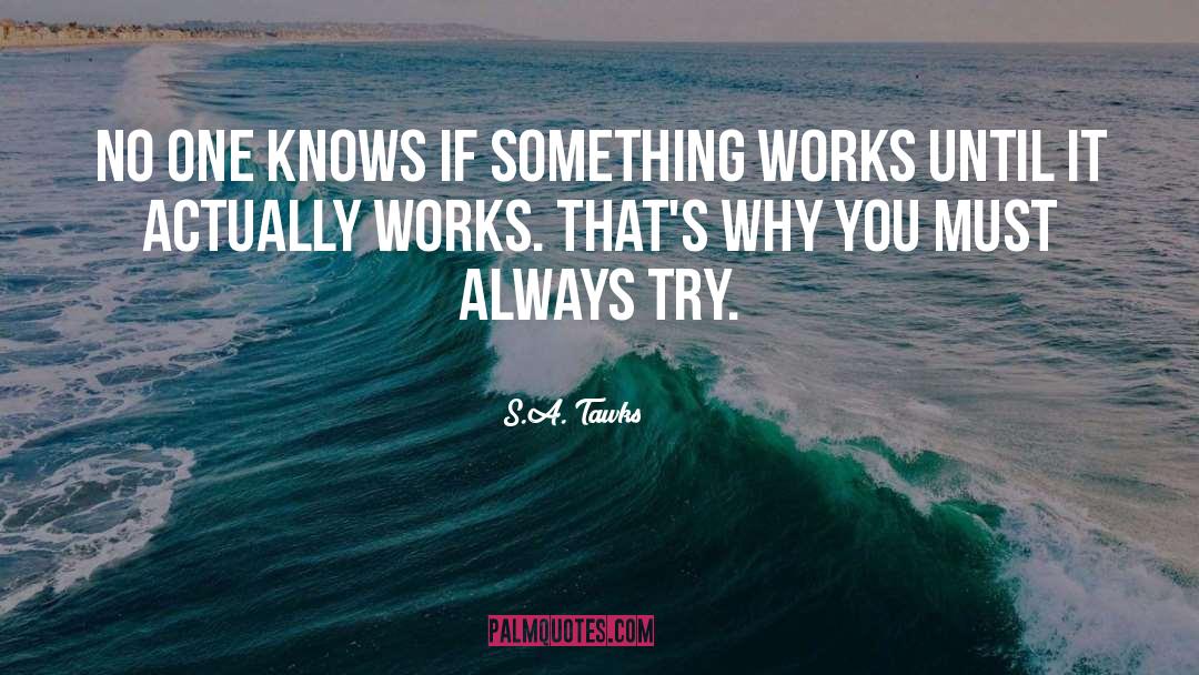 S.A. Tawks Quotes: No one knows if something