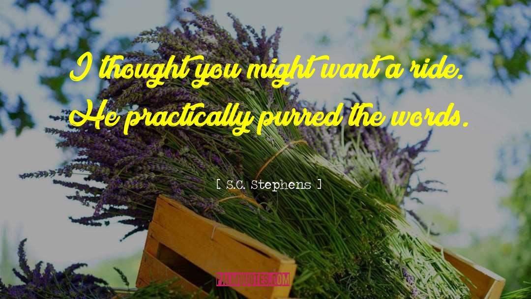 S.C. Stephens Quotes: I thought you might want