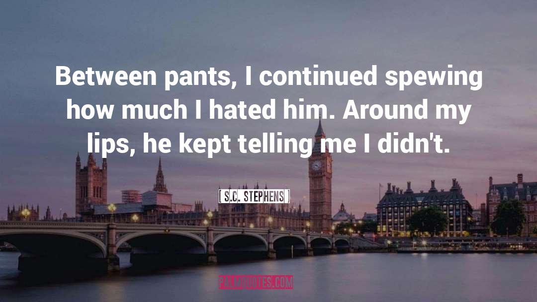 S.C. Stephens Quotes: Between pants, I continued spewing