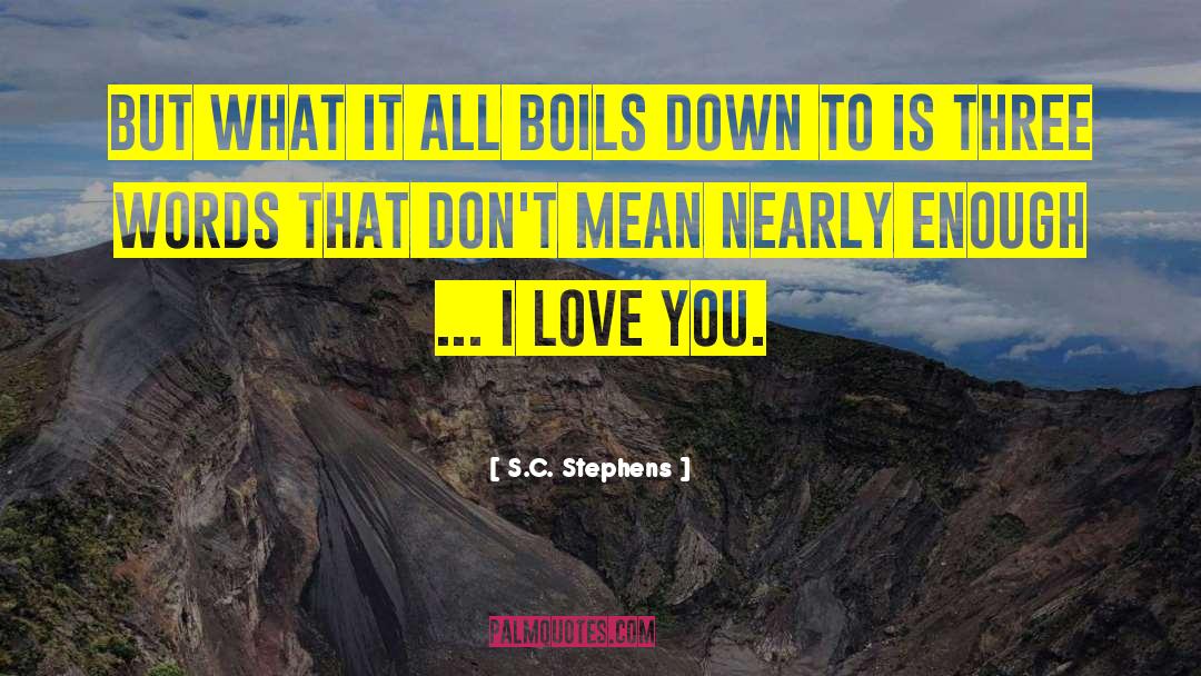 S.C. Stephens Quotes: But what it all boils