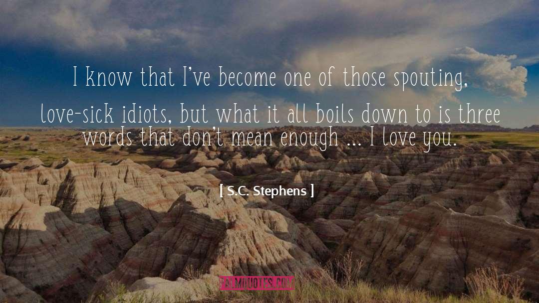 S.C. Stephens Quotes: I know that I've become
