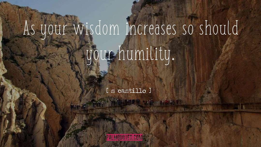 S Castillo Quotes: As your wisdom increases so