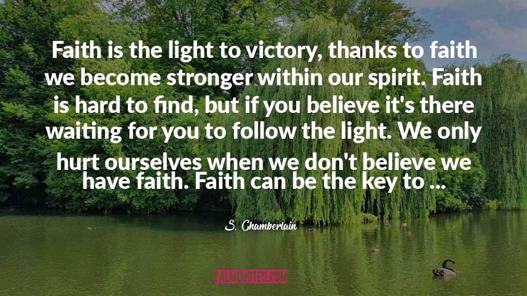 S. Chamberlain Quotes: Faith is the light to