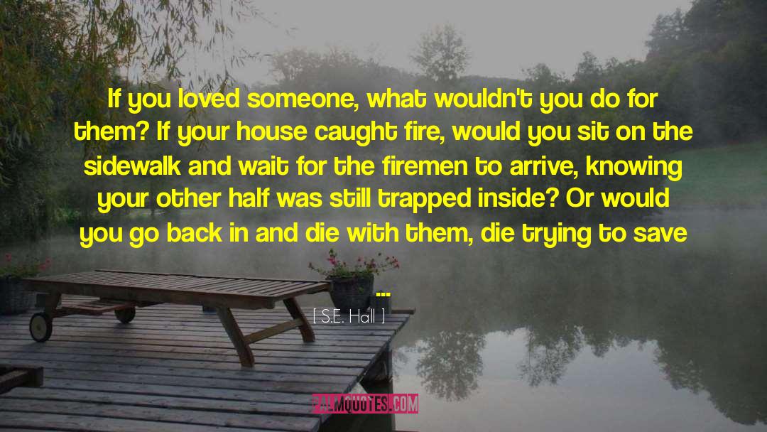 S.E. Hall Quotes: If you loved someone, what