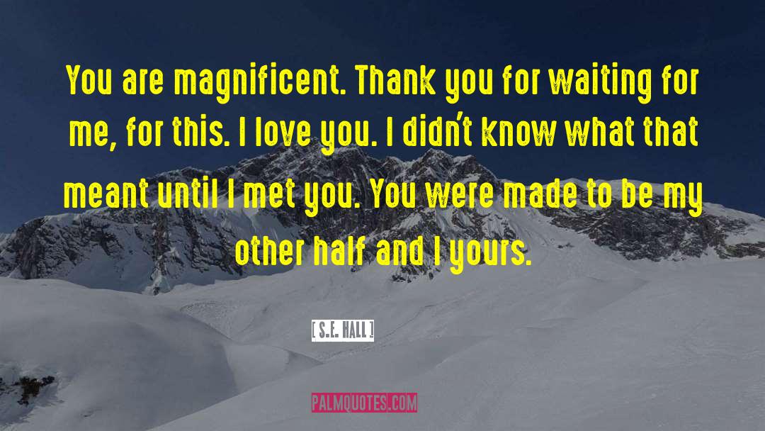 S.E. Hall Quotes: You are magnificent. Thank you