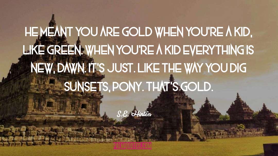 S.E. Hinton Quotes: He meant you are gold