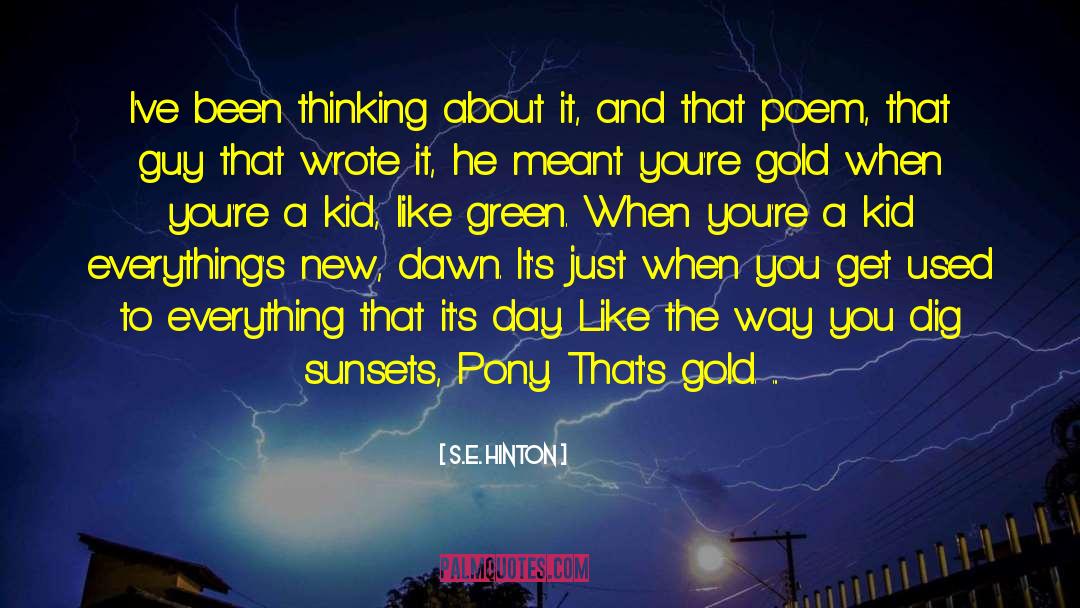 S.E. Hinton Quotes: I've been thinking about it,