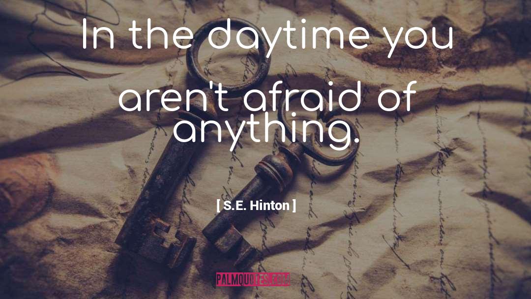 S.E. Hinton Quotes: In the daytime you aren't