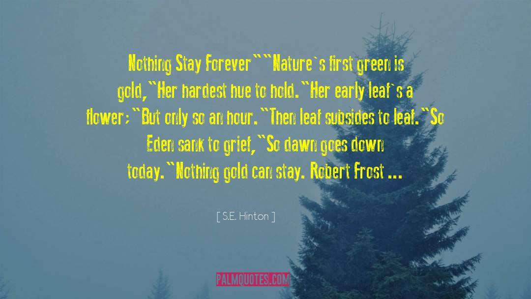 S.E. Hinton Quotes: Nothing Stay Forever