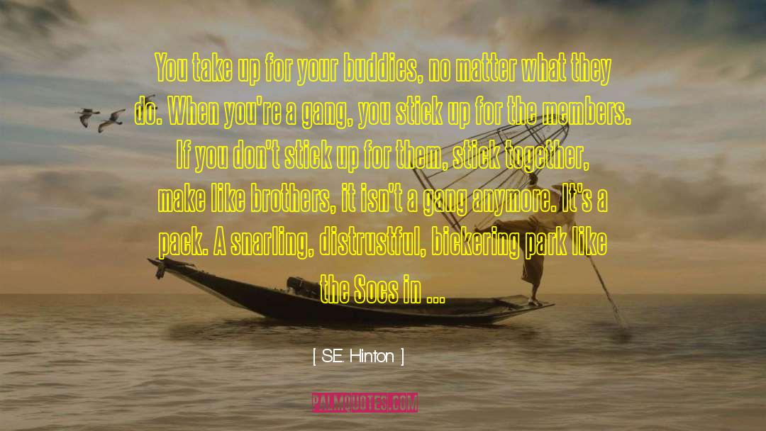 S.E. Hinton Quotes: You take up for your