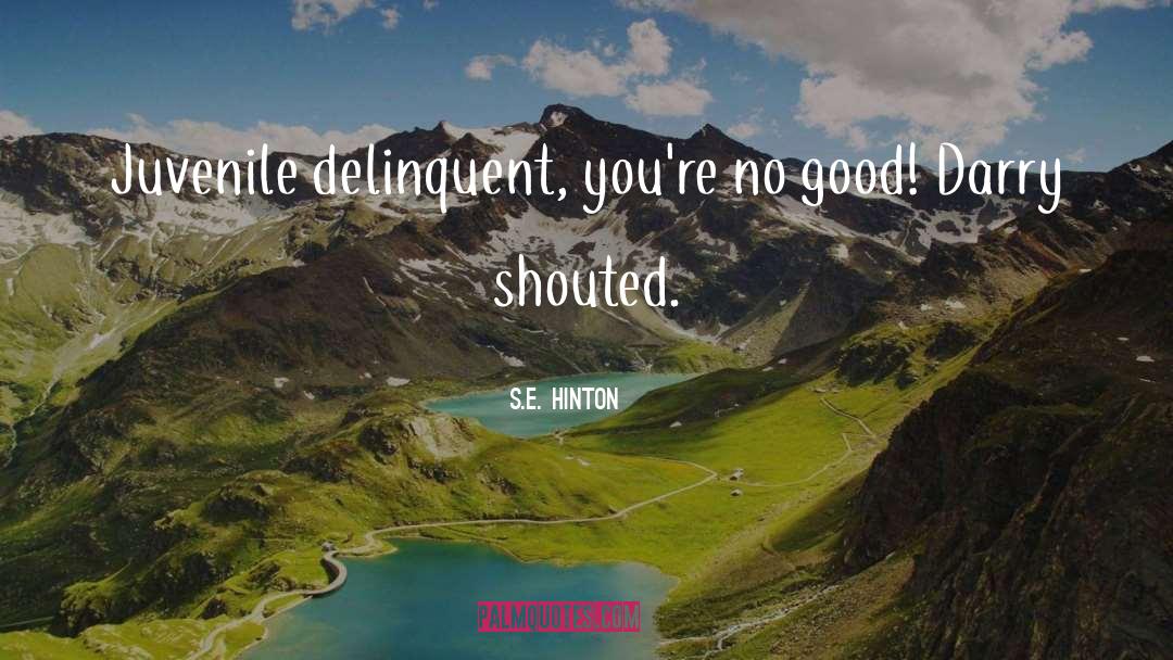 S.E. Hinton Quotes: Juvenile delinquent, you're no good!