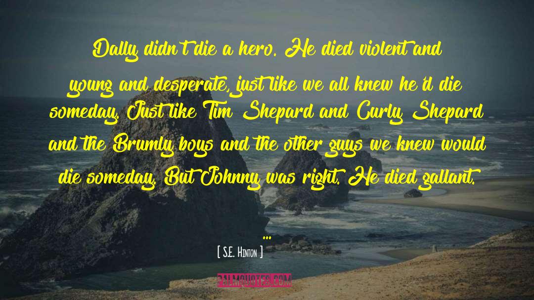 S.E. Hinton Quotes: Dally didn't die a hero.