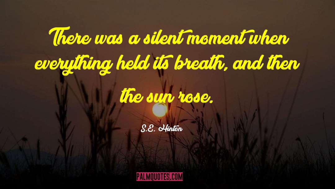 S.E. Hinton Quotes: There was a silent moment