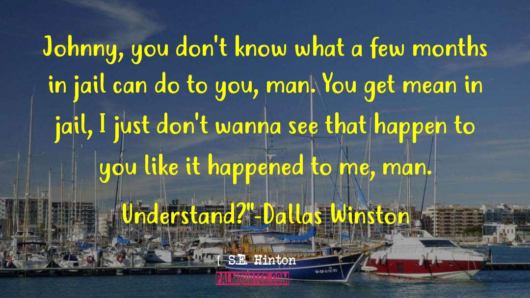 S.E. Hinton Quotes: Johnny, you don't know what