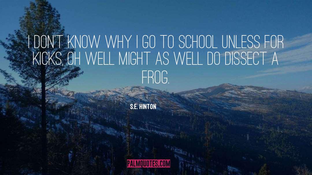 S.E. Hinton Quotes: I don't know why I