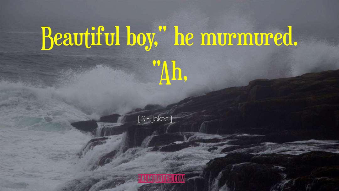 S.E. Jakes Quotes: Beautiful boy,