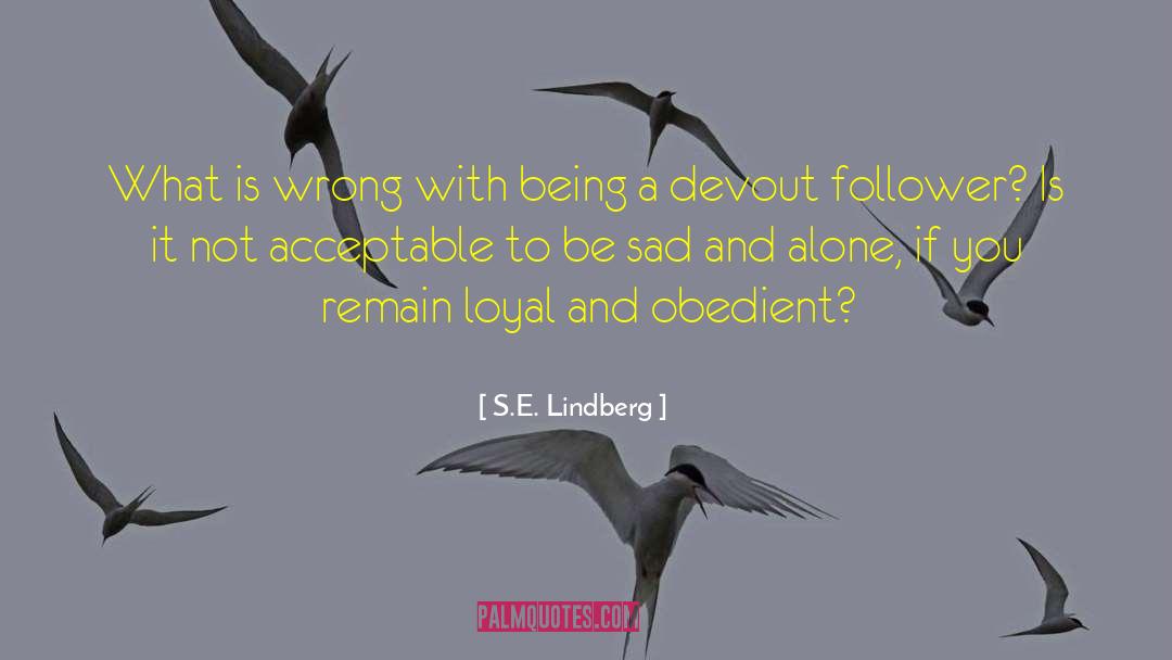 S.E. Lindberg Quotes: What is wrong with being