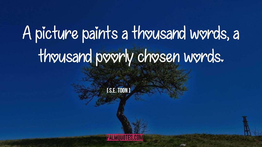 S.E. Toon Quotes: A picture paints a thousand