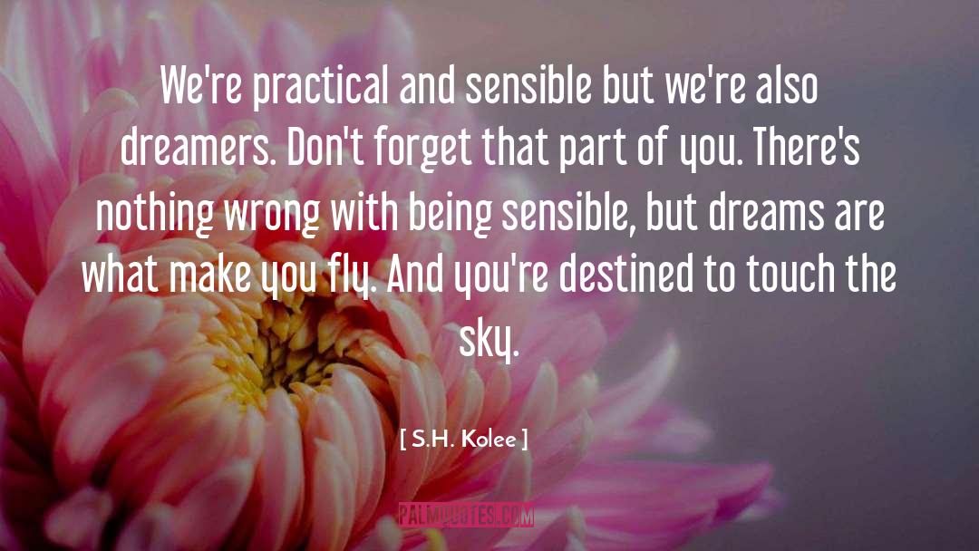 S.H. Kolee Quotes: We're practical and sensible but
