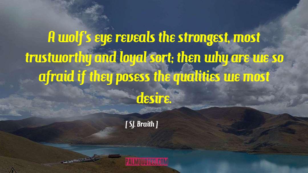 S.J. Braith Quotes: A wolf's eye reveals the