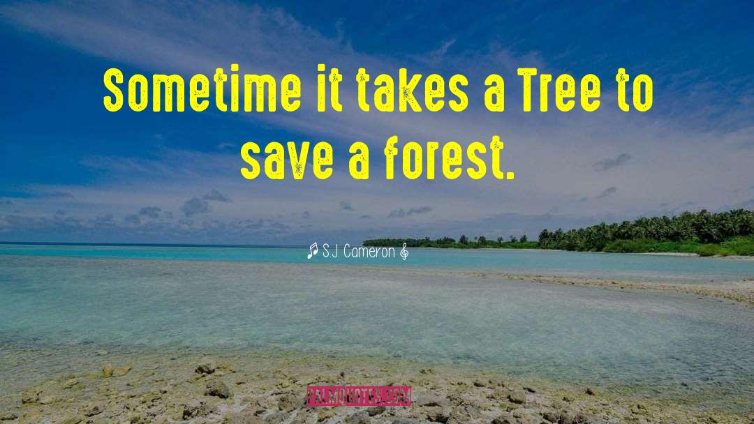 S.J. Cameron Quotes: Sometime it takes a Tree