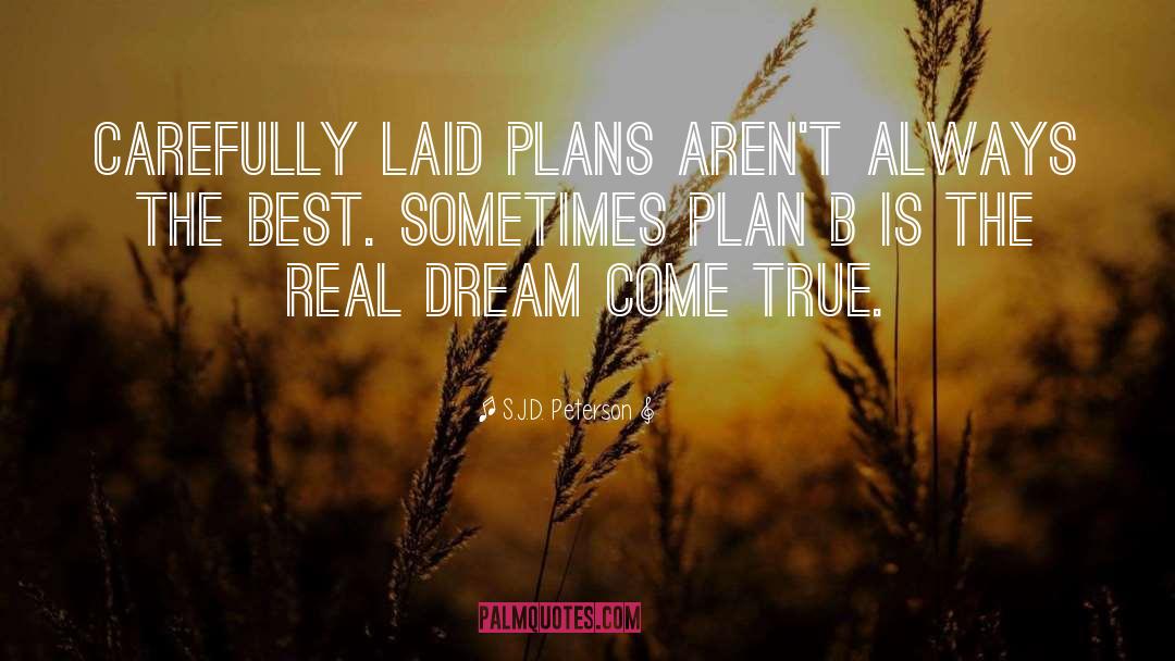 S.J.D. Peterson Quotes: Carefully laid plans aren't always