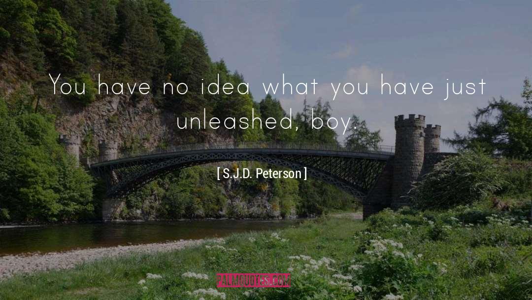 S.J.D. Peterson Quotes: You have no idea what