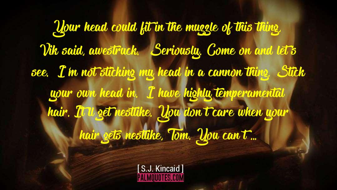 S.J. Kincaid Quotes: Your head could fit in