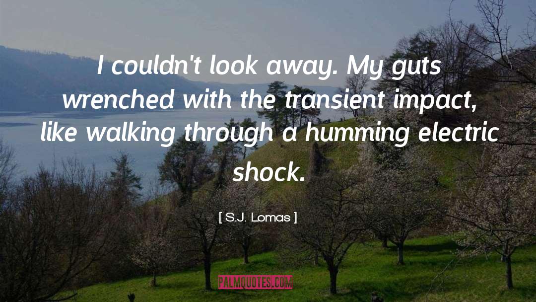 S.J. Lomas Quotes: I couldn't look away. My