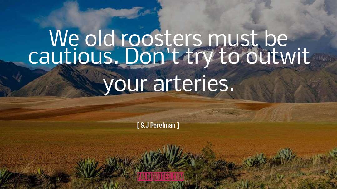 S.J Perelman Quotes: We old roosters must be