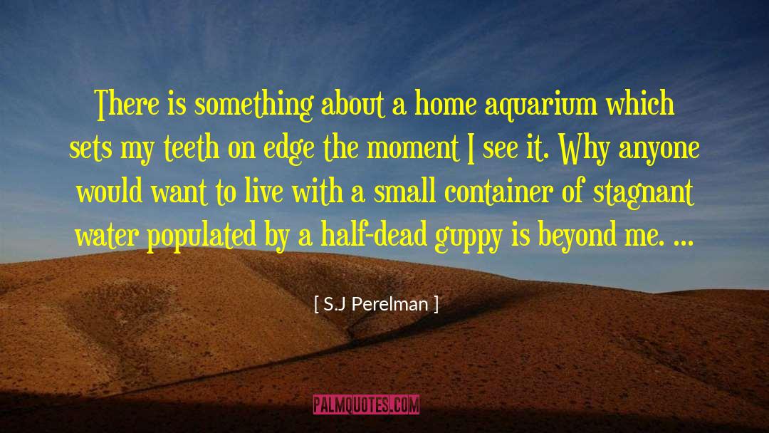 S.J Perelman Quotes: There is something about a