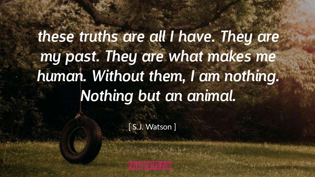 S.J. Watson Quotes: these truths are all I