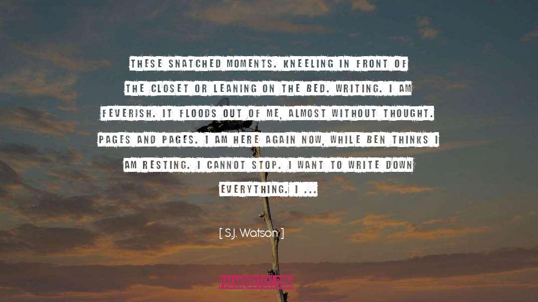 S.J. Watson Quotes: These snatched moments. Kneeling in
