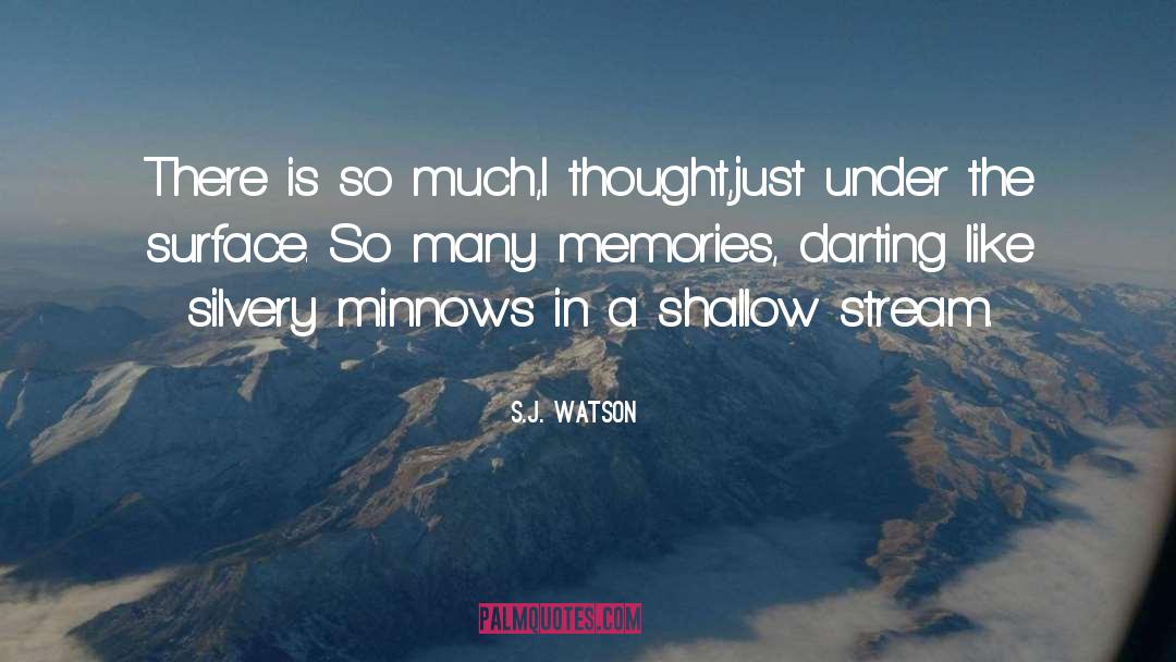 S.J. Watson Quotes: There is so much,I thought,just