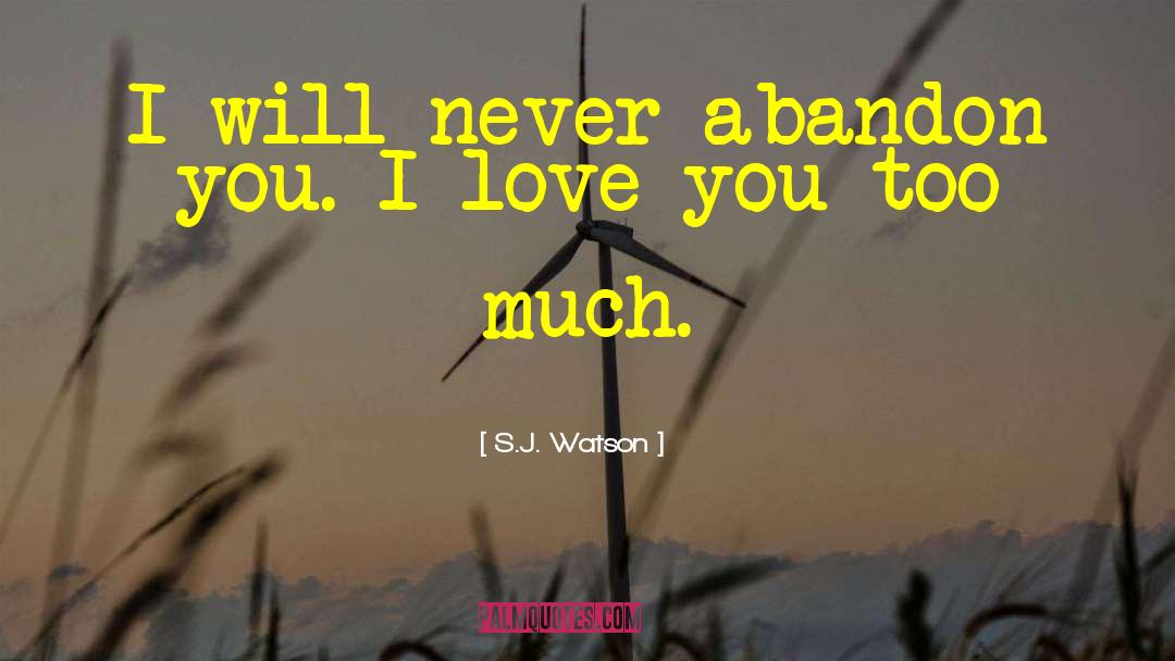 S.J. Watson Quotes: I will never abandon you.