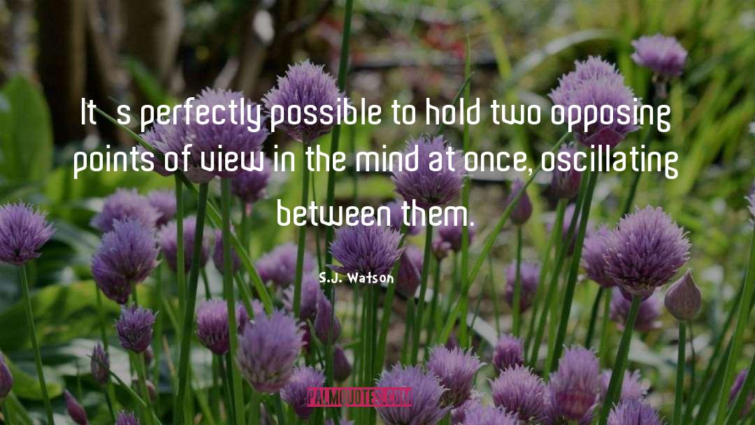 S.J. Watson Quotes: It's perfectly possible to hold