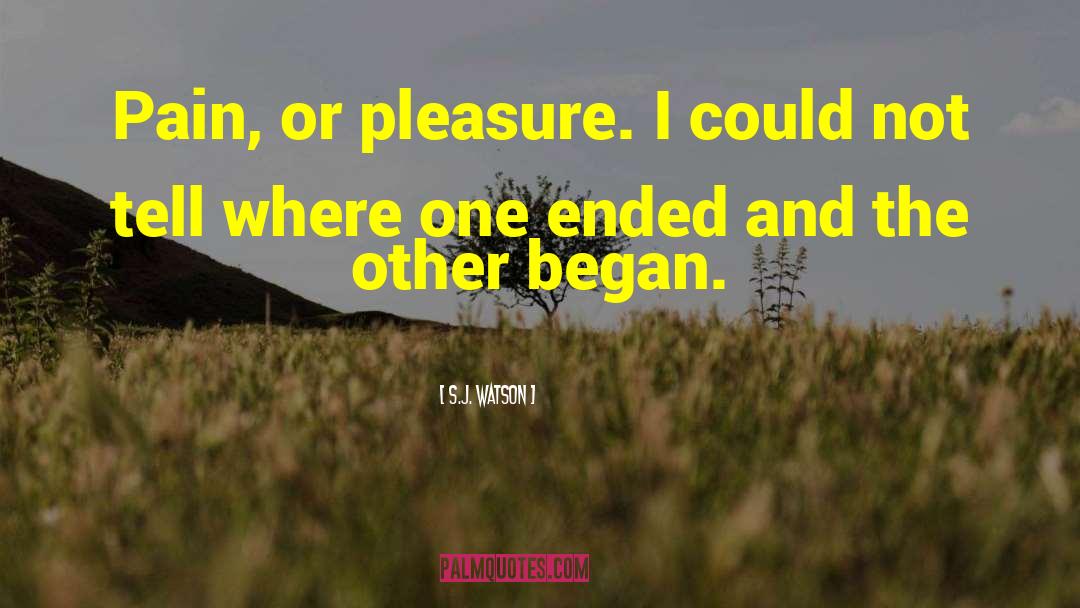 S.J. Watson Quotes: Pain, or pleasure. I could