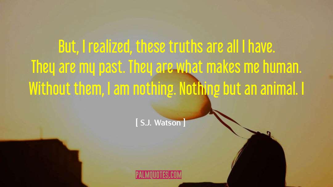S.J. Watson Quotes: But, I realized, these truths