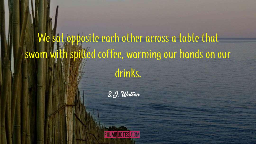S.J. Watson Quotes: We sat opposite each other