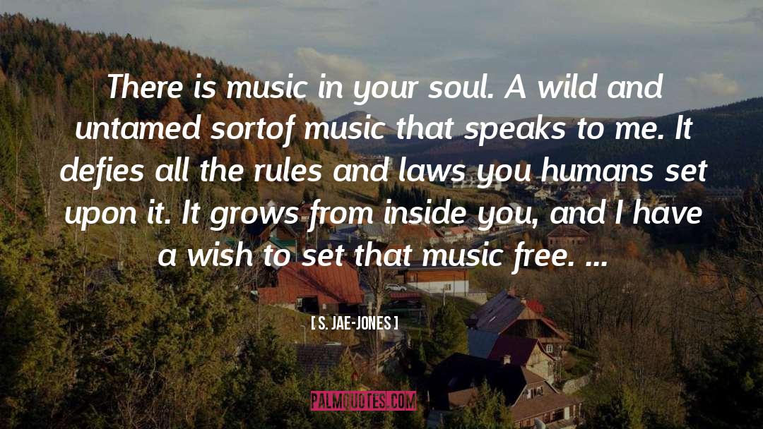 S. Jae-Jones Quotes: There is music in your