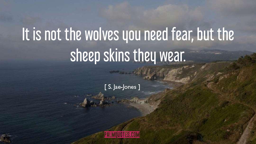 S. Jae-Jones Quotes: It is not the wolves