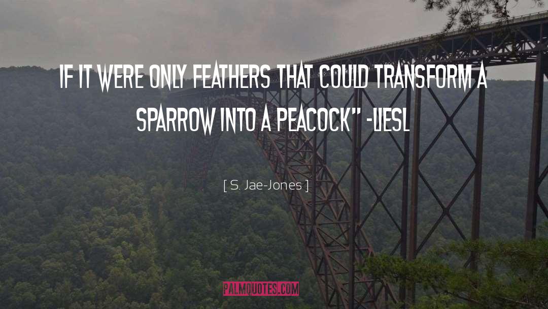 S. Jae-Jones Quotes: If it were only feathers