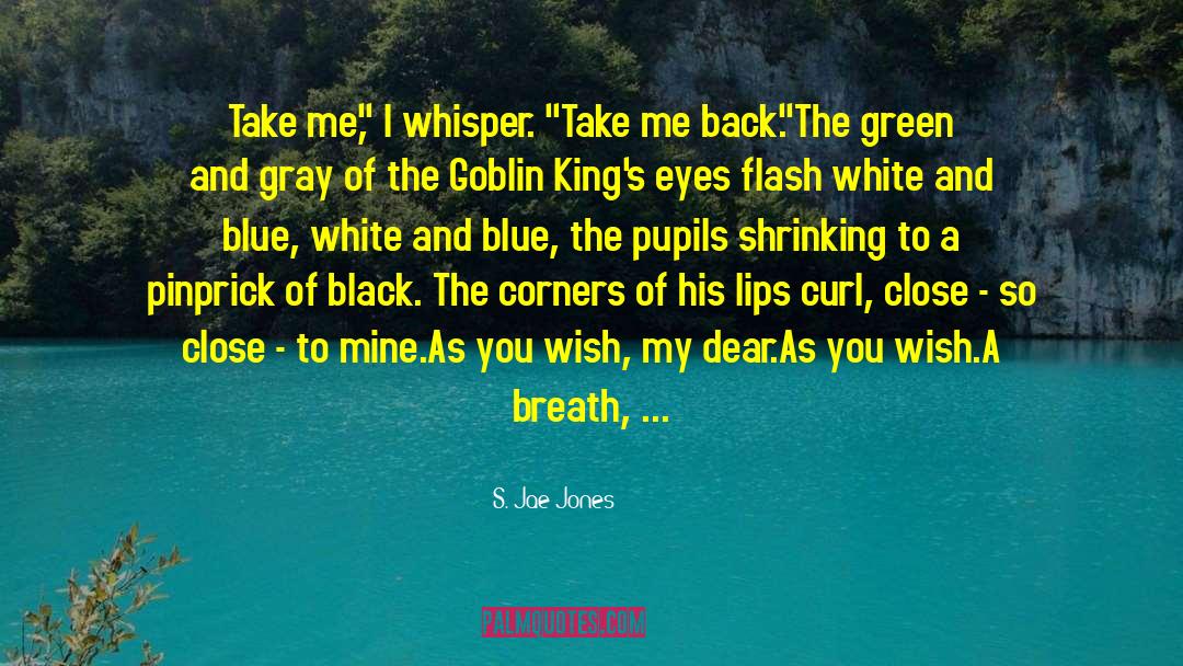 S. Jae-Jones Quotes: Take me,