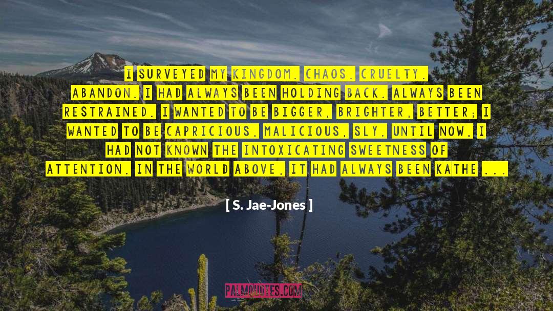 S. Jae-Jones Quotes: I surveyed my kingdom. Chaos.