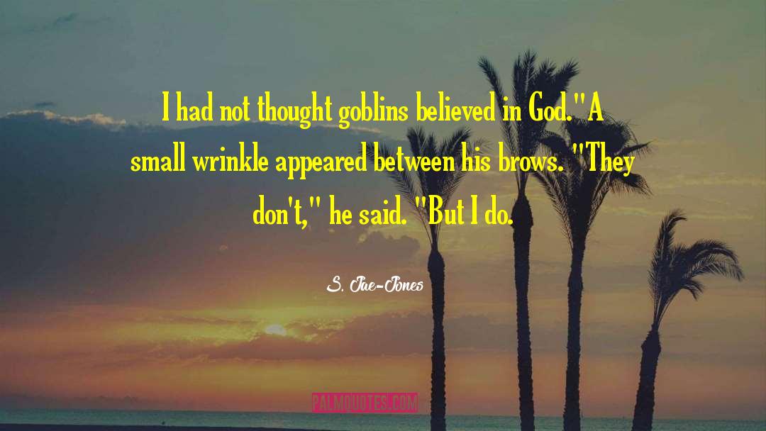 S. Jae-Jones Quotes: I had not thought goblins