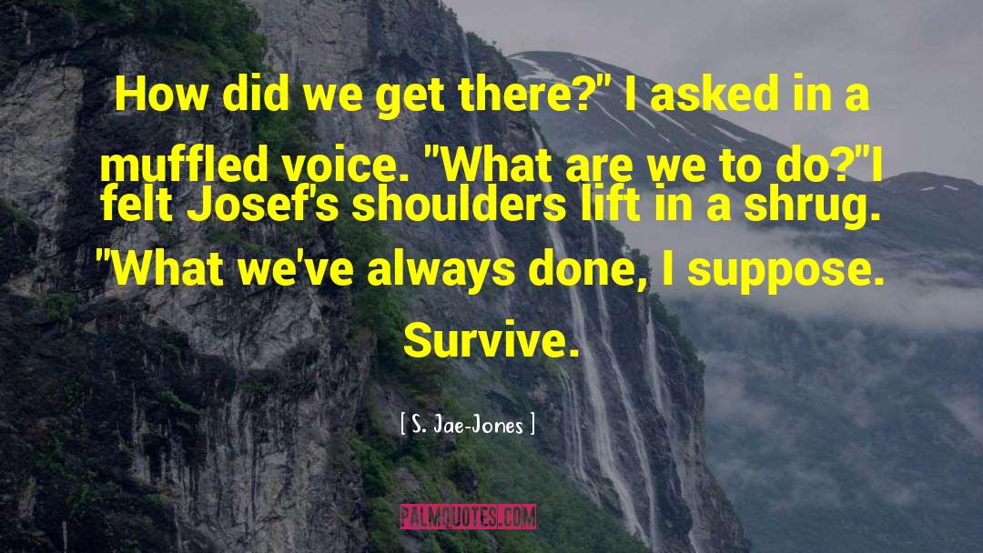 S. Jae-Jones Quotes: How did we get there?