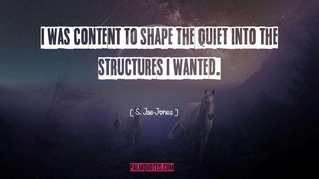 S. Jae-Jones Quotes: I was content to shape
