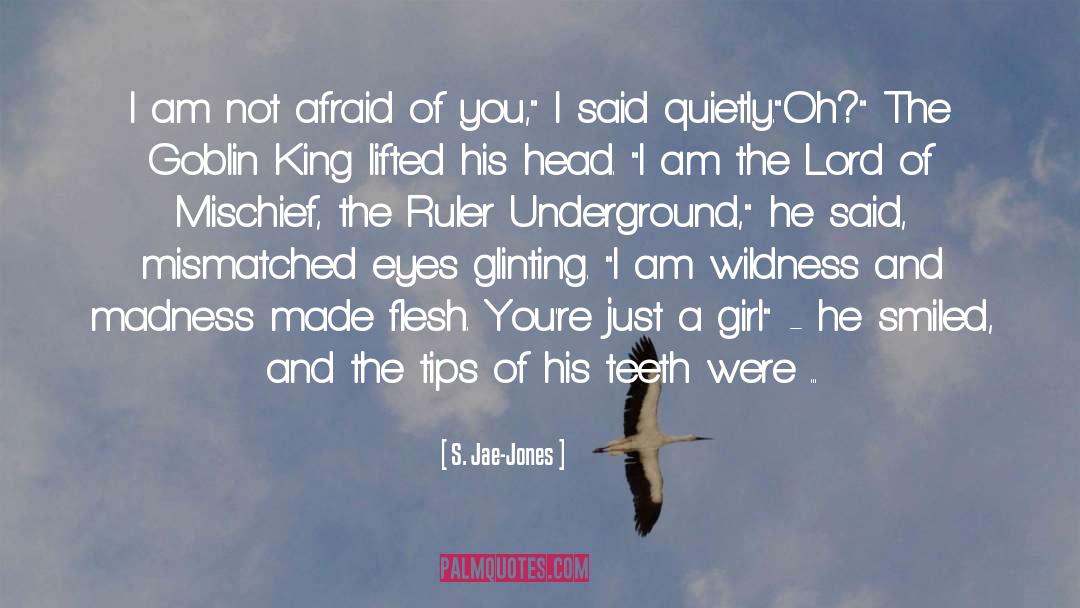 S. Jae-Jones Quotes: I am not afraid of
