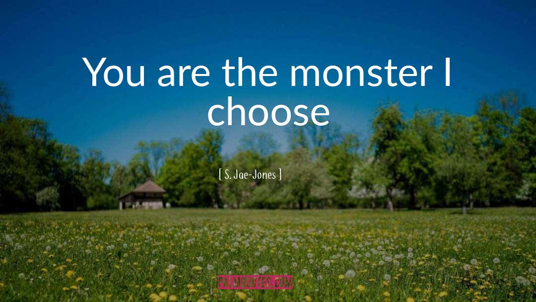 S. Jae-Jones Quotes: You are the monster I