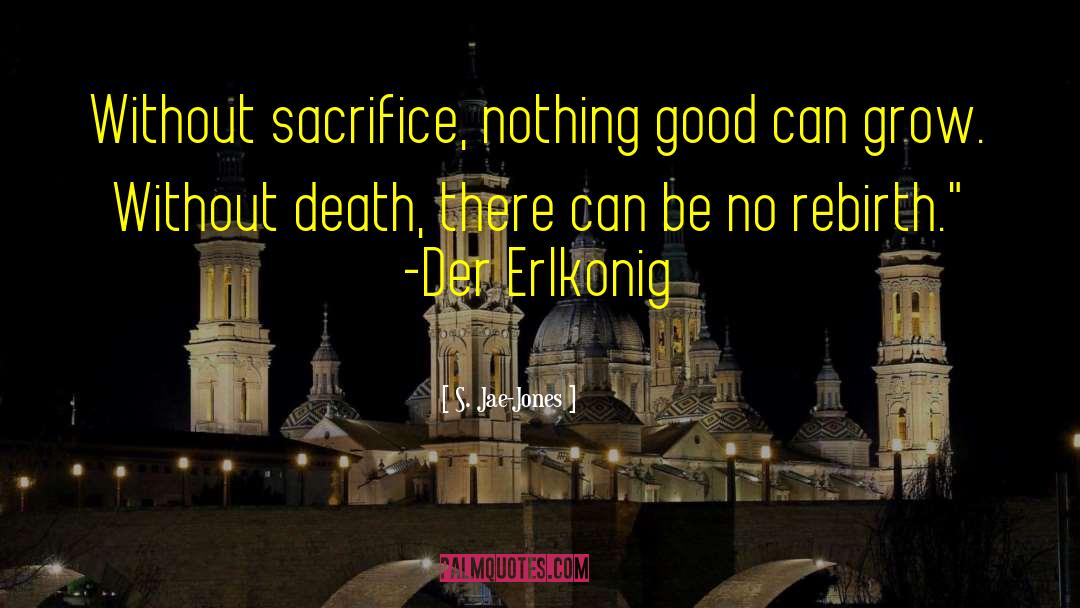 S. Jae-Jones Quotes: Without sacrifice, nothing good can